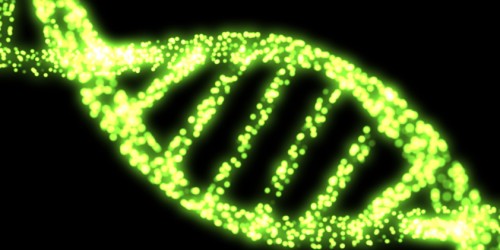 Parkinson's Disease And Stem Cell Treatment: What You Should Know